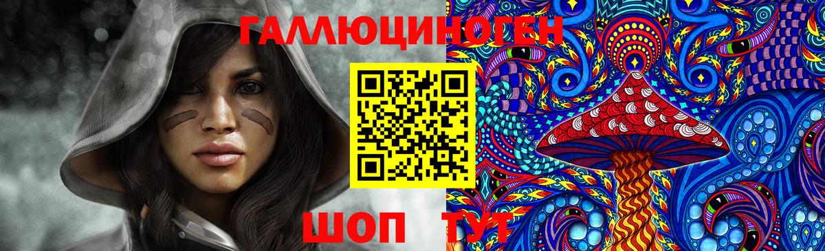 Псилоцибиновые грибы Cubensis Гулькевичи