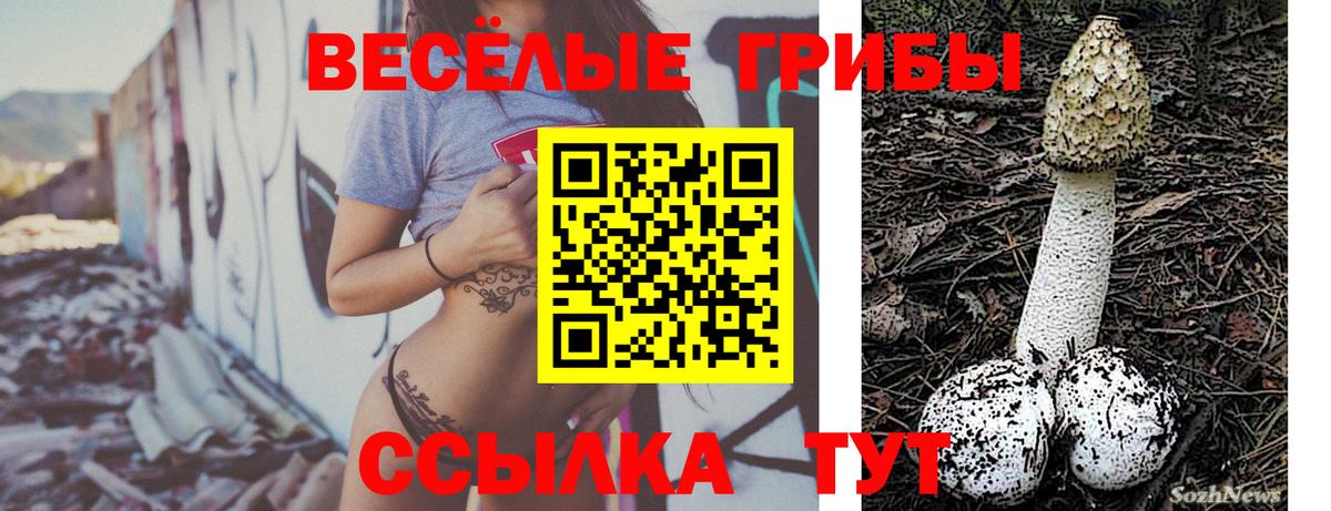 Гулькевичи  Псилоцибиновые грибы ЛСД  Вход с VPN 